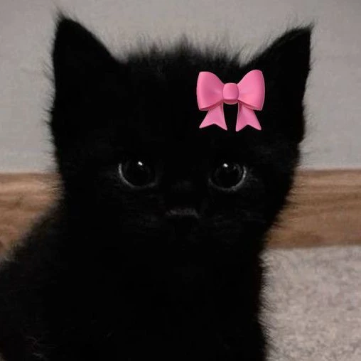 🌸🎀 Jasper 🎀🌸