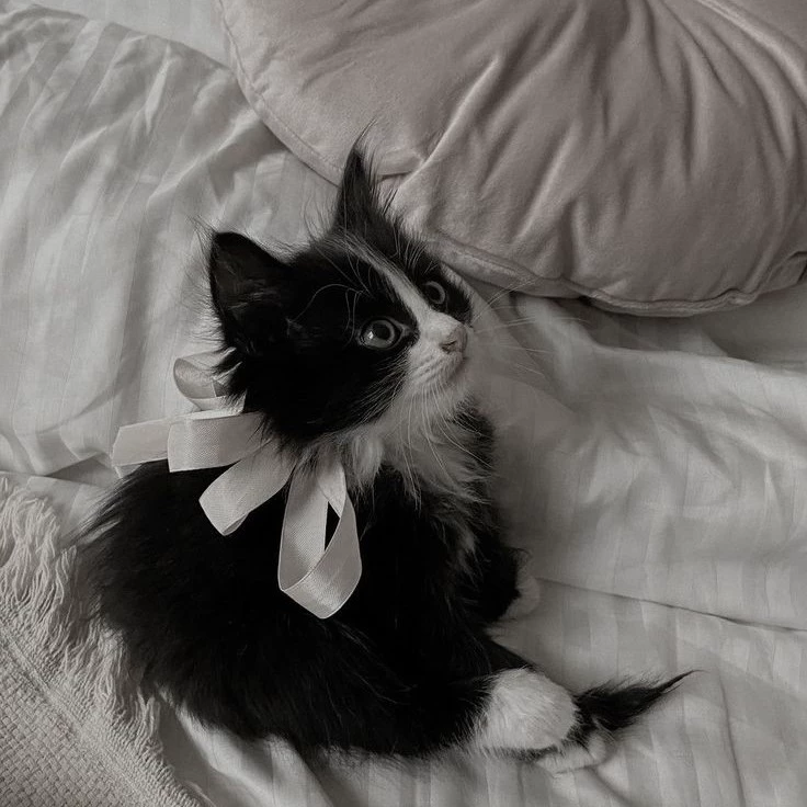 Eloise