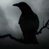 Raven