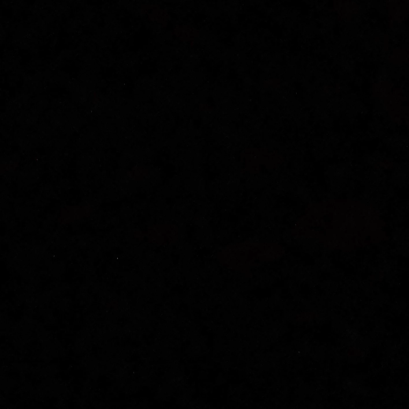 Dan