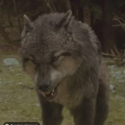 Paul Lahote and Jacob Black thumbnail