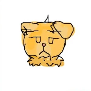 KitKat