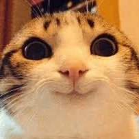 Cutiekitte
