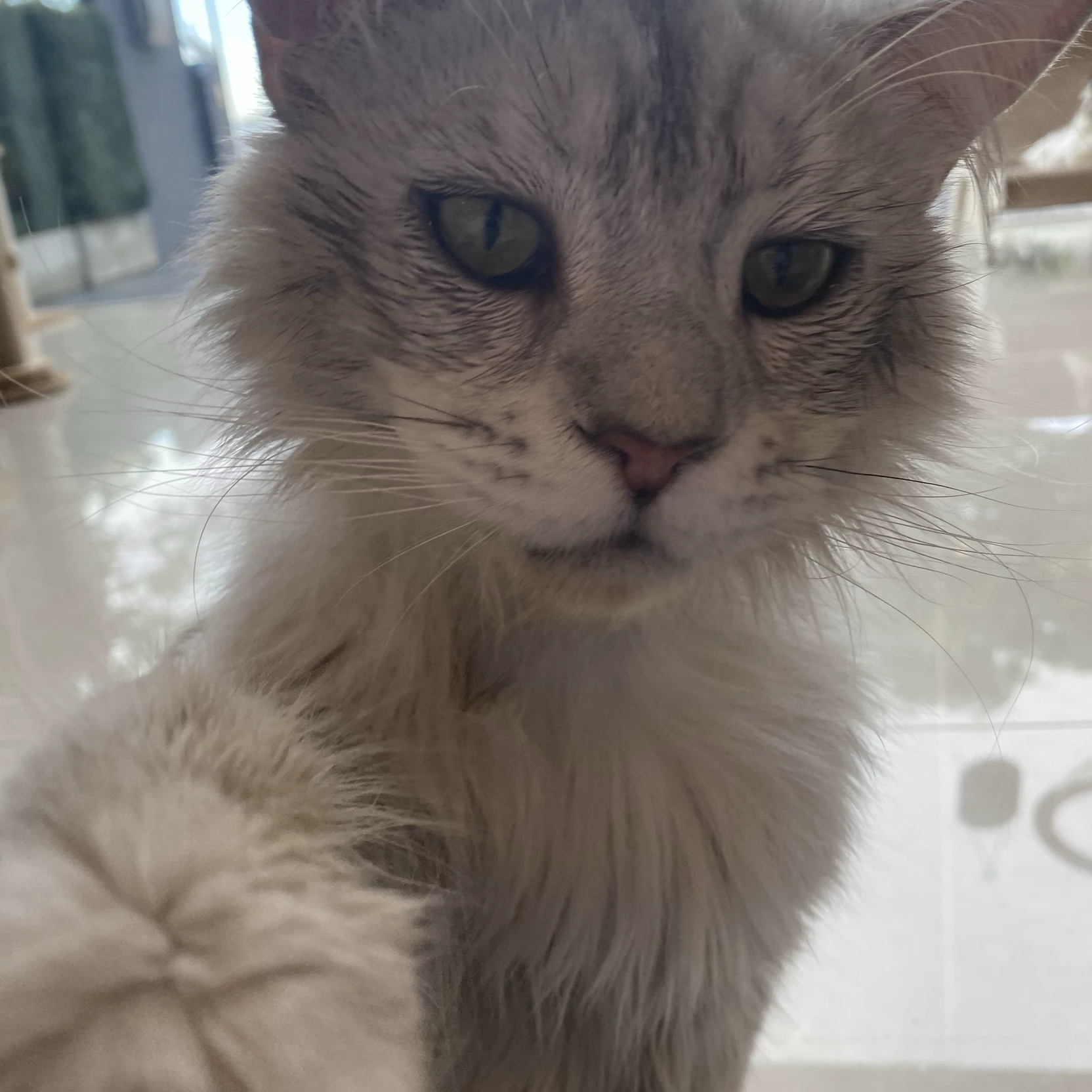 Yuka