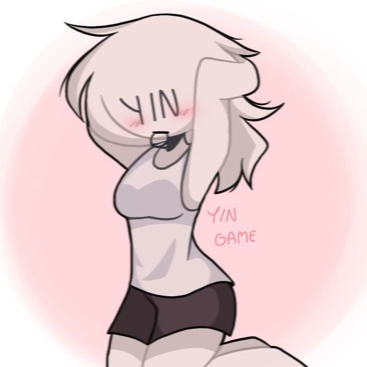 Y/N