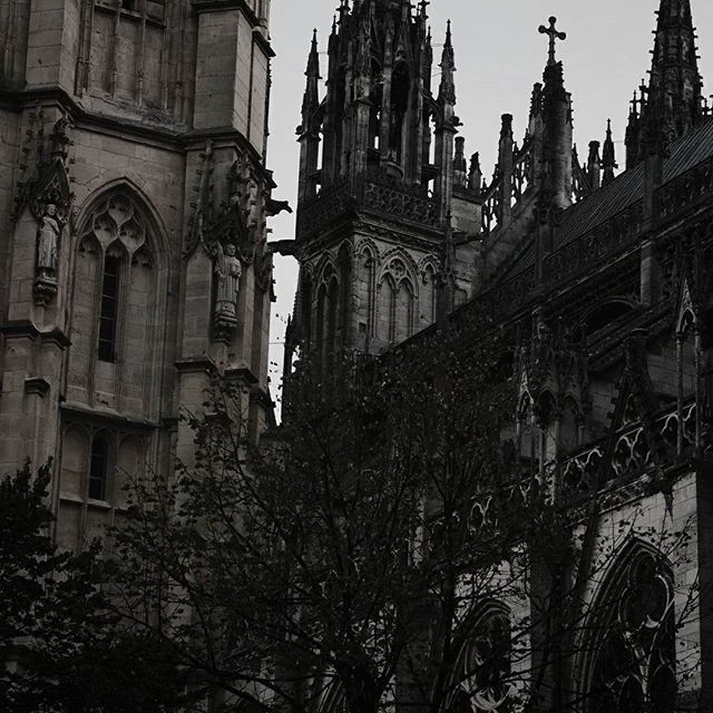𝖒𝖎𝖘𝖘 𝖑𝖊𝖓𝖔𝖗𝖊 🍷🦇