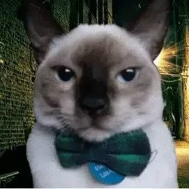 Papu