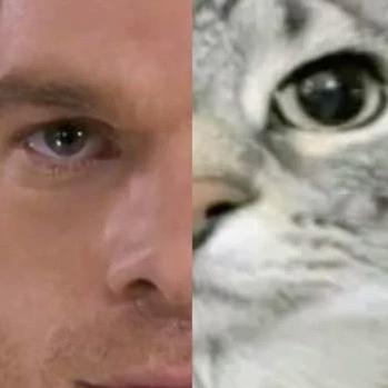 davigabriel 