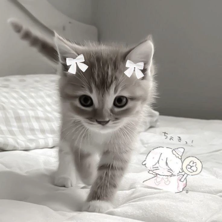 Милли