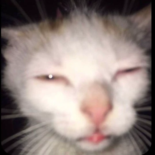 Sebastián 