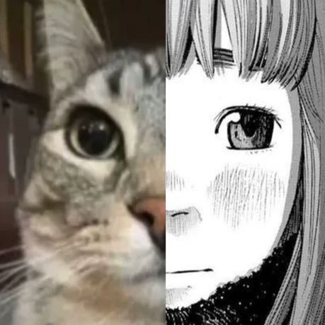 Aiko