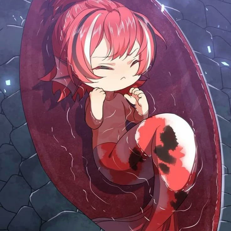 Xia Zenniu
