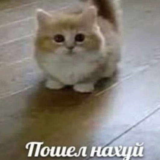 Сироп
