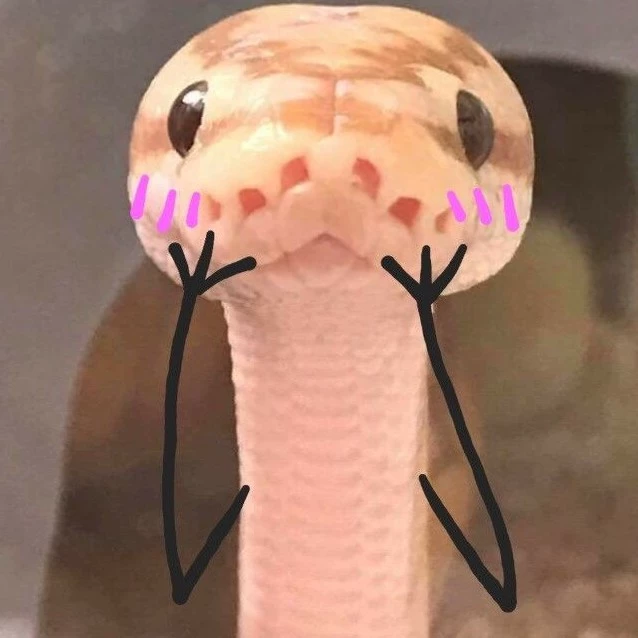 🐍