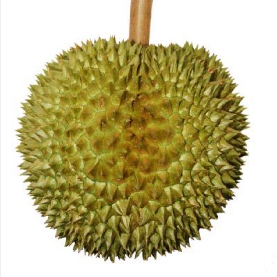 Durian