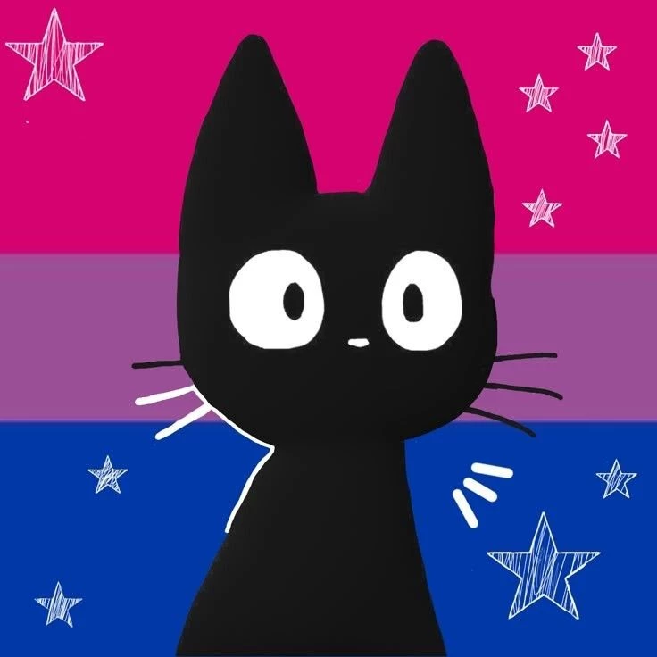 Miss cat
