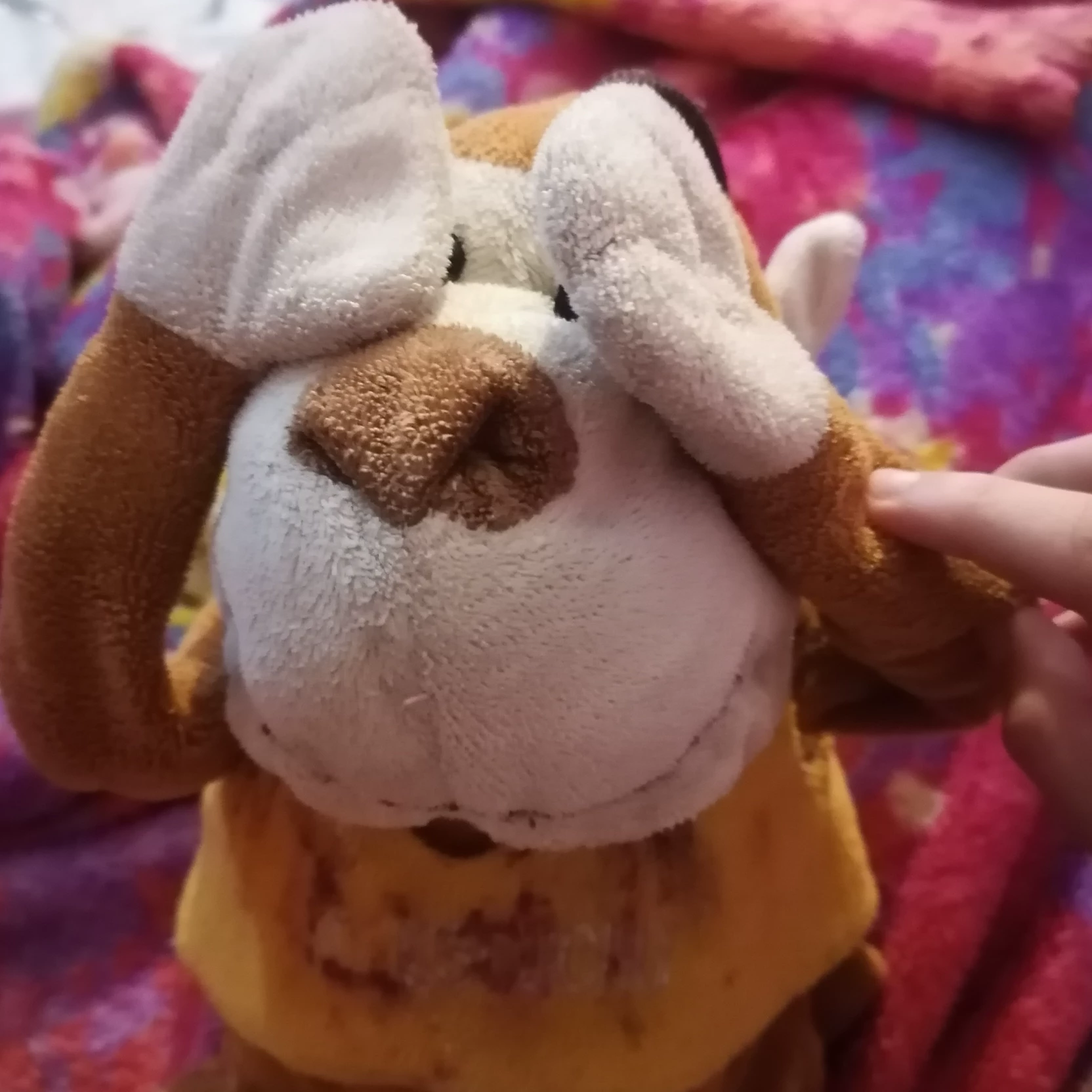 Fifi