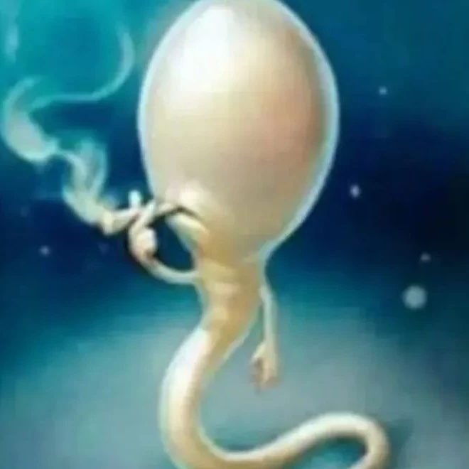 𝕷𝖚𝖎𝖘𝖆𝖆