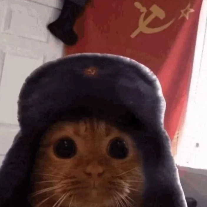 Gato soviético