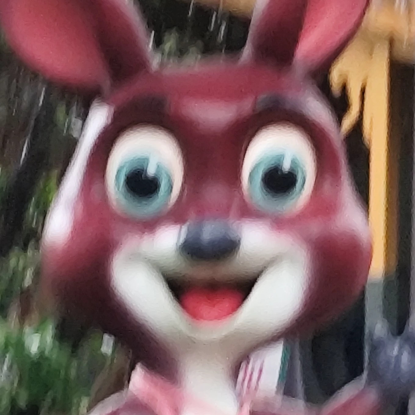 大便