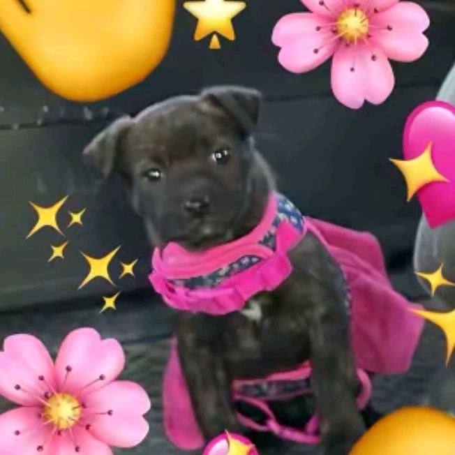 𝓒𝓵𝓪𝓻𝓪;