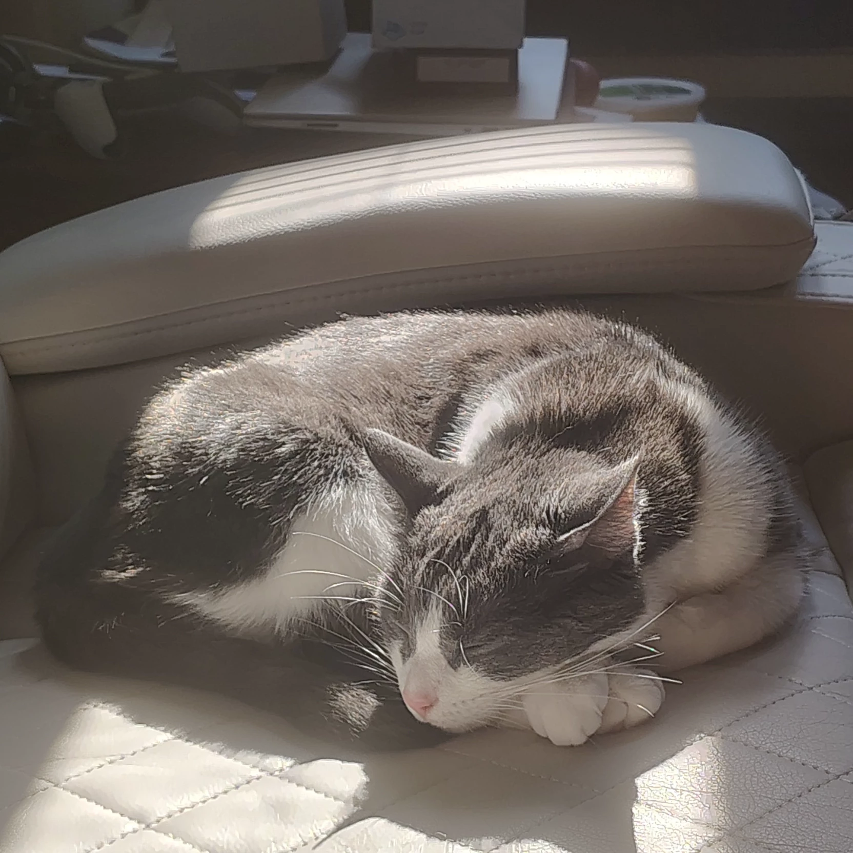 Misha