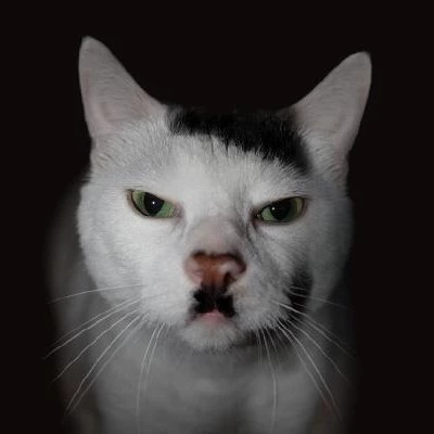Adolf_Kitler1939