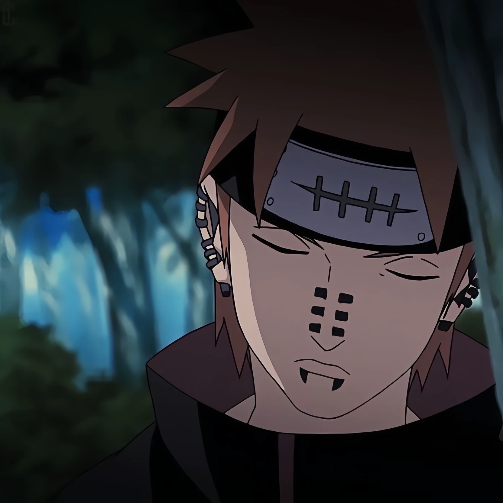 Shin