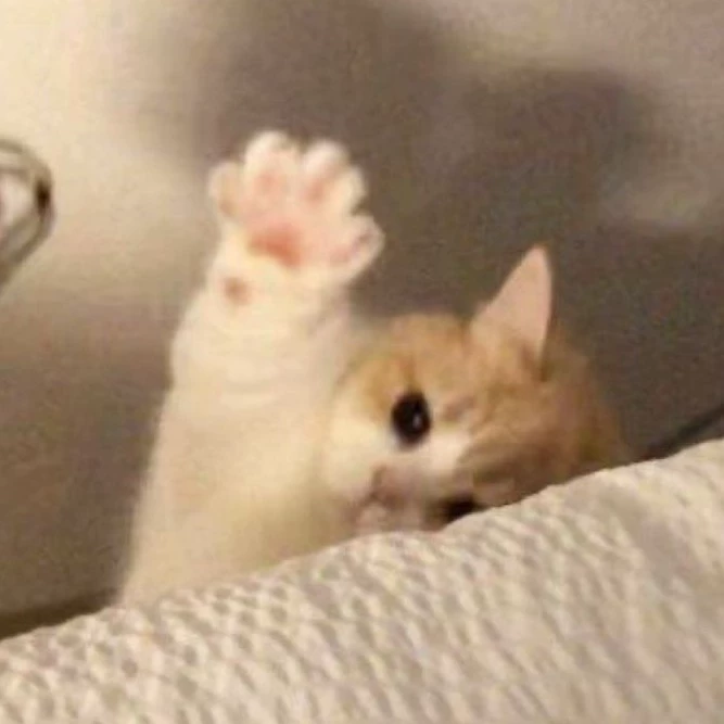 ซินซิน