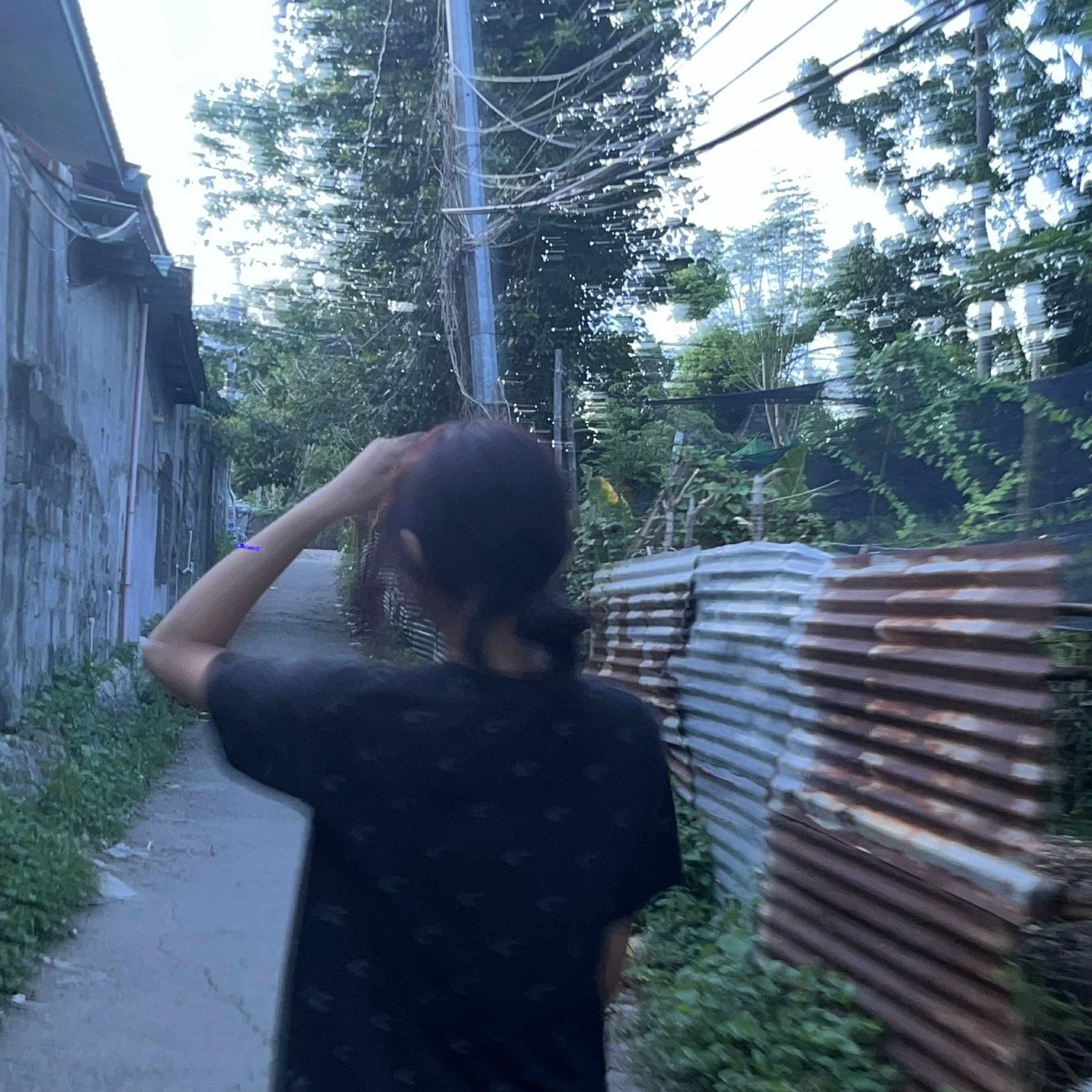 Miera