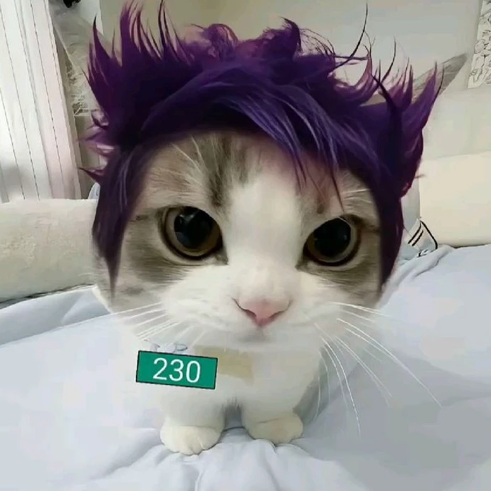 Ashley 