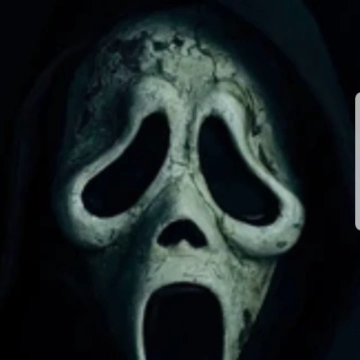 KribbeDJ 