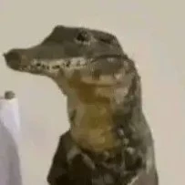Erartusus