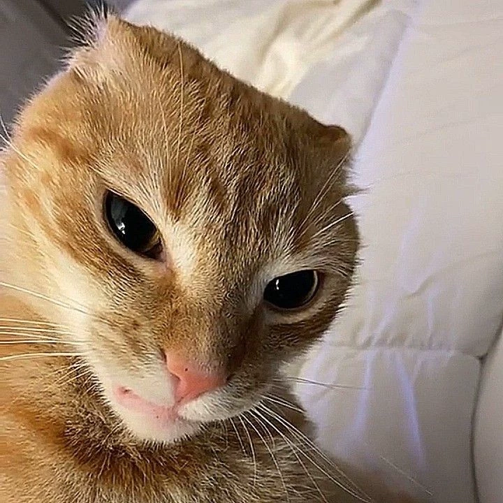 Charlie LA