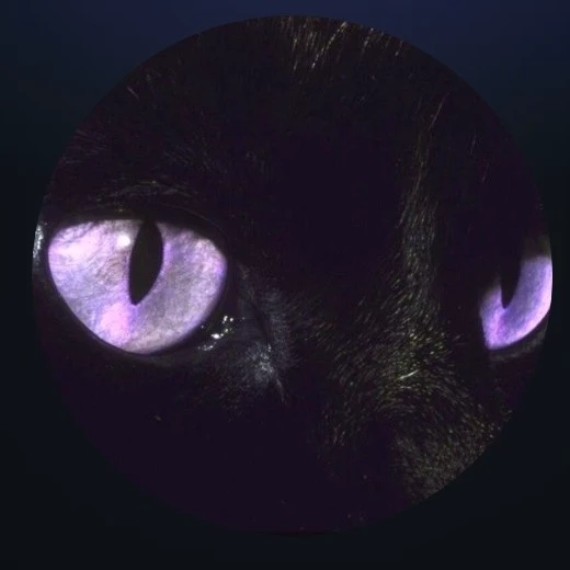 Mas