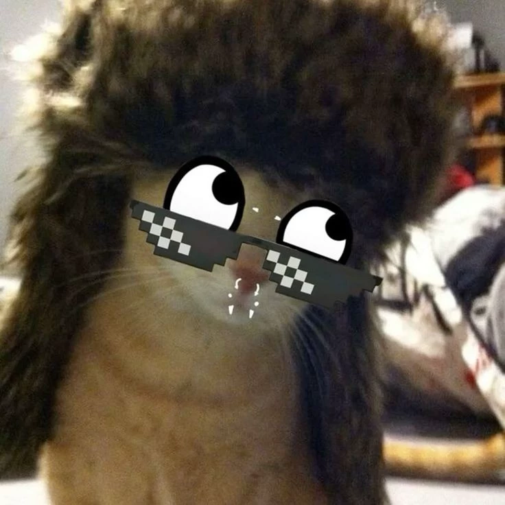 Лера