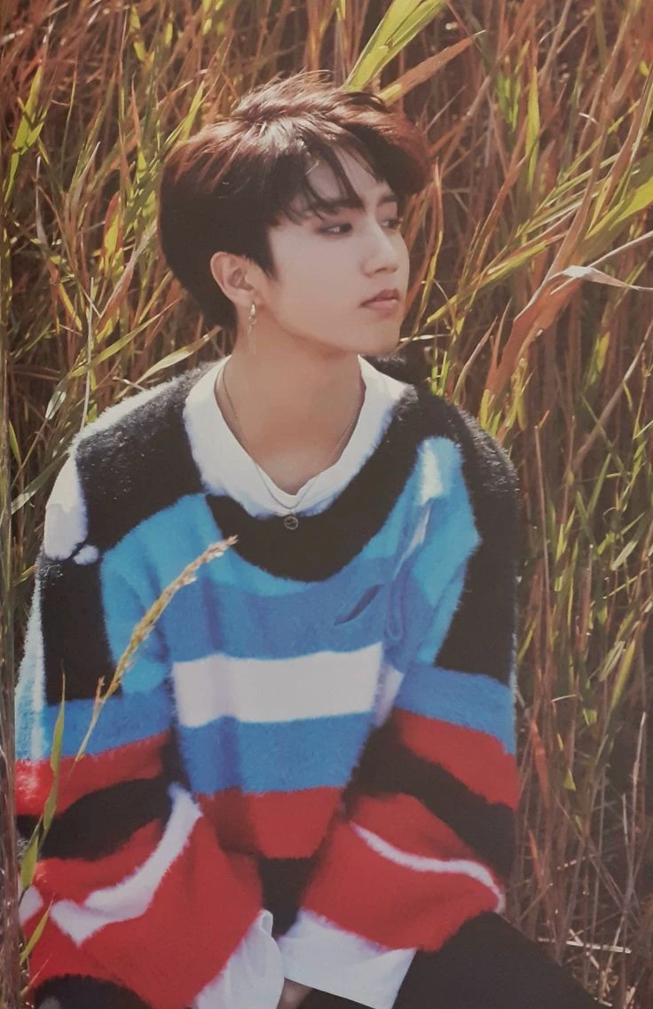Han Jisung thumbnail