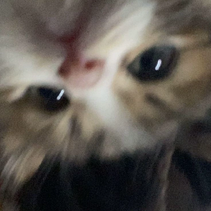 ลิลิธ