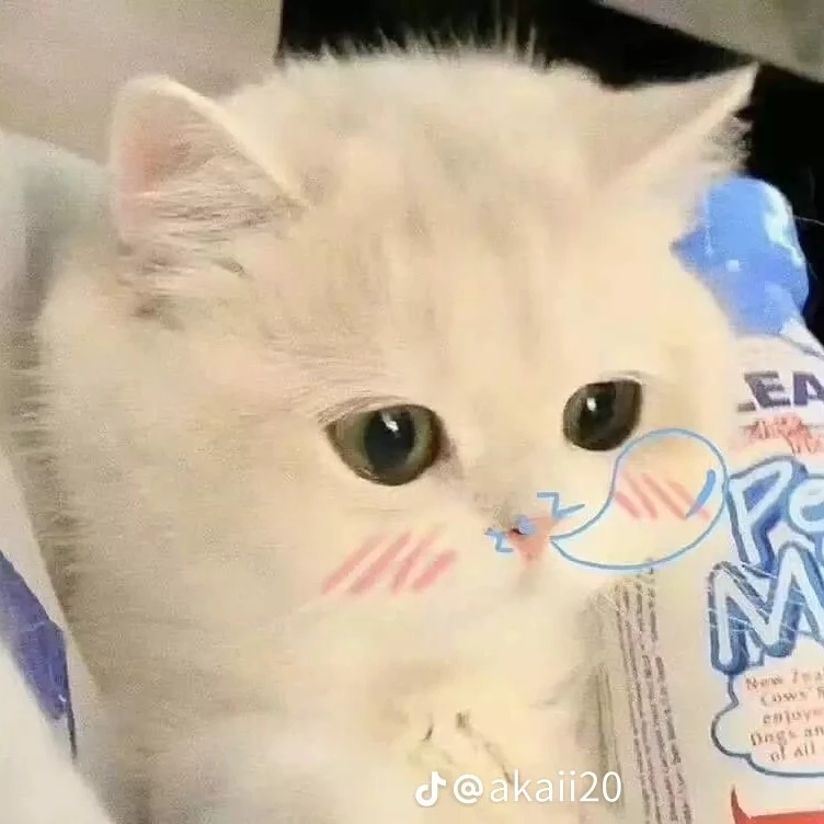 Kanta