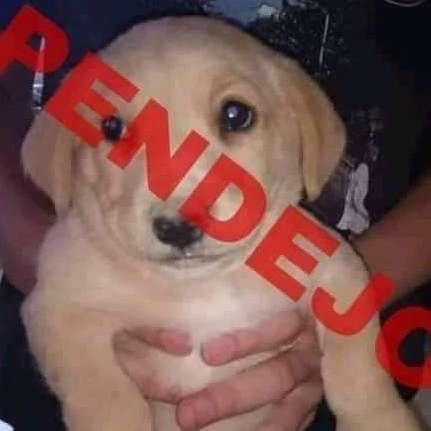 Jairo 