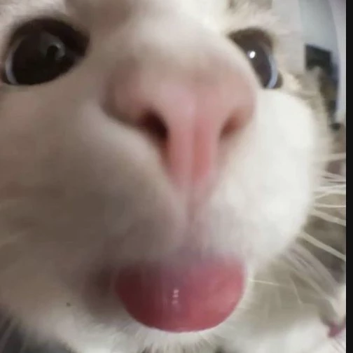 💋