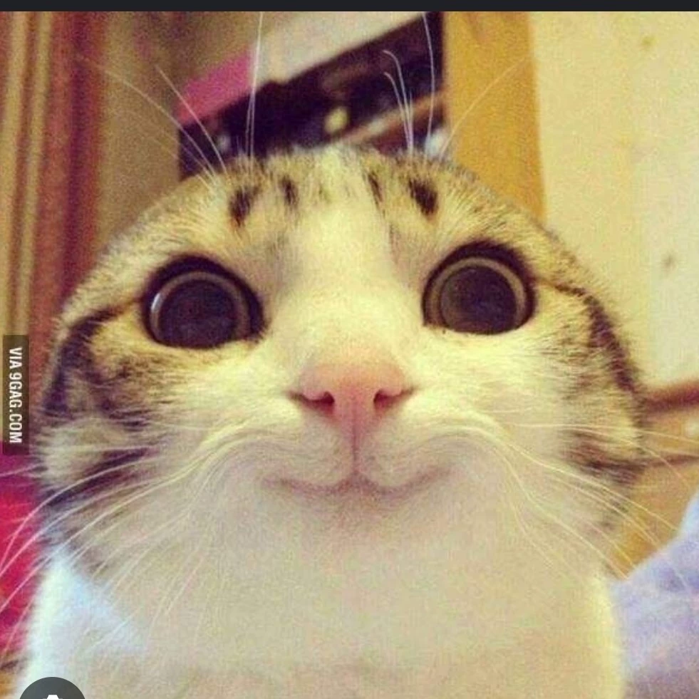 Idk 