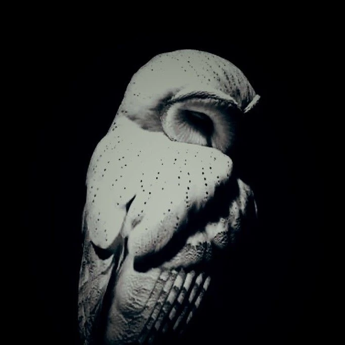 Morphed 