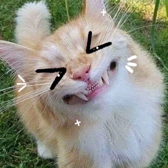 Star💗✨💖