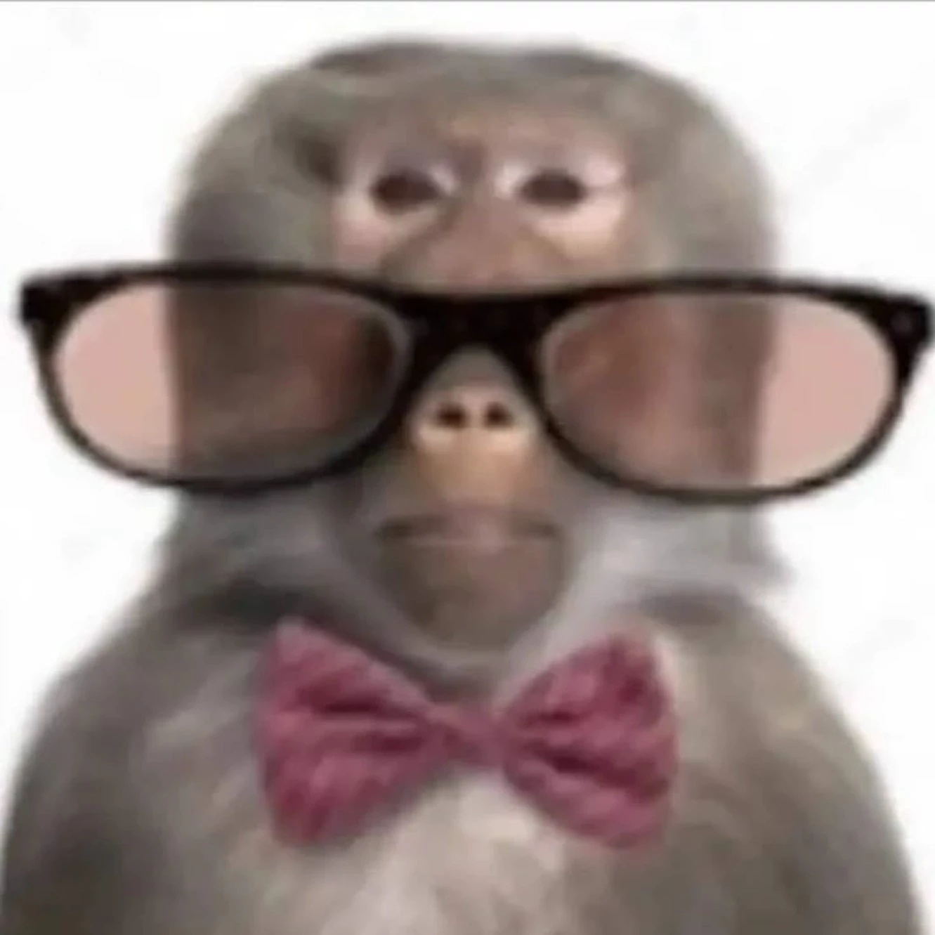 ㅤㅤ