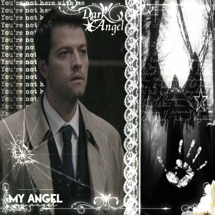 # ᭝꒰ . »𝑲aw ; 🪽_ ..᳕