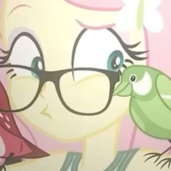 •  🩷🤍 FLUTTERSHY 🤍🪷 •