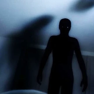 Shadow.