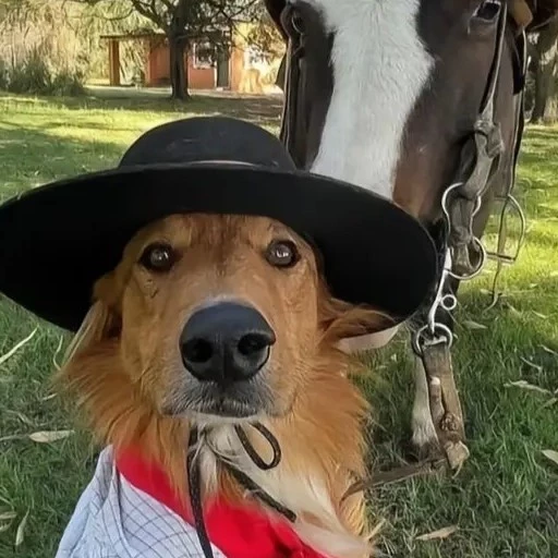 Pedro