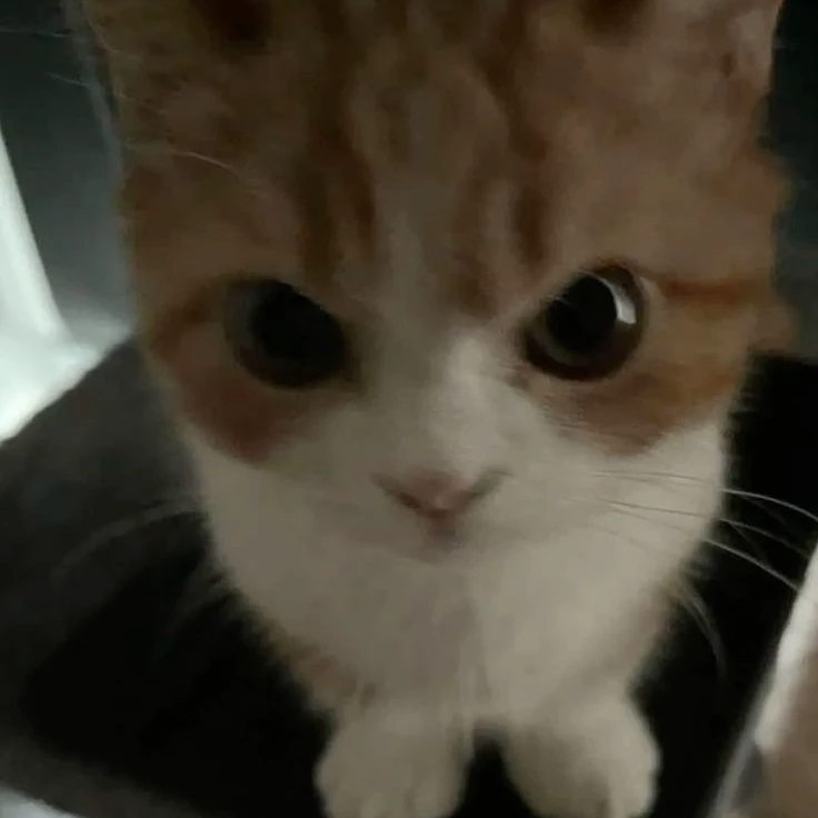 Hiroshi
